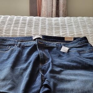 Brand New Lane Bryant Jeans Size 24 petite